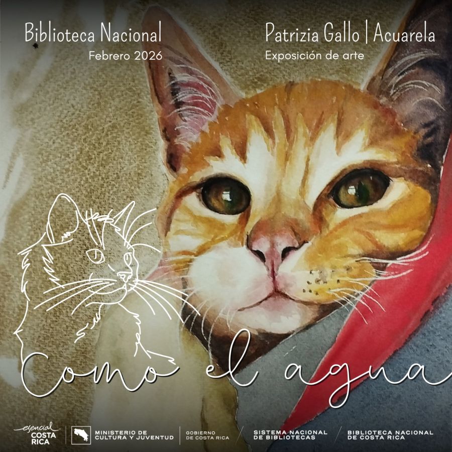 Exposición de acuarelas 'Como el agua', de Patrizia Gallo