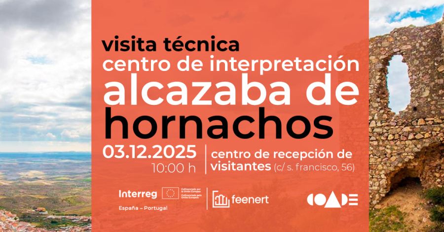 Visita técnica a obra de Tapia