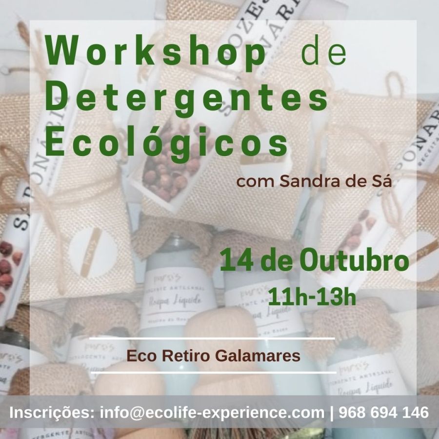 Workshop de Detergentes Ecológicos