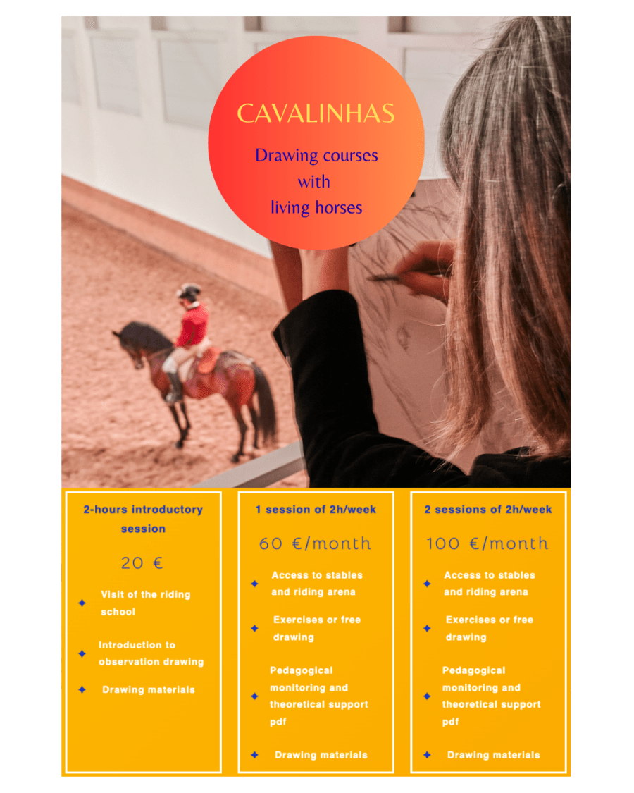 Aulas diárias de desenho de observação na Escola de Arte Equestre