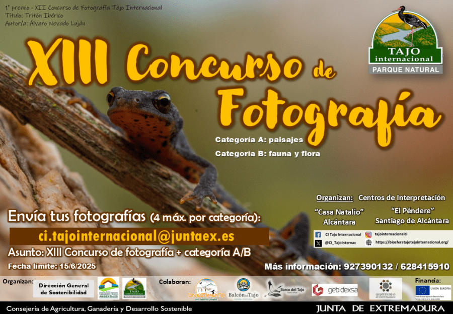 XIII Concurso de Fotografía Tajo Internacional