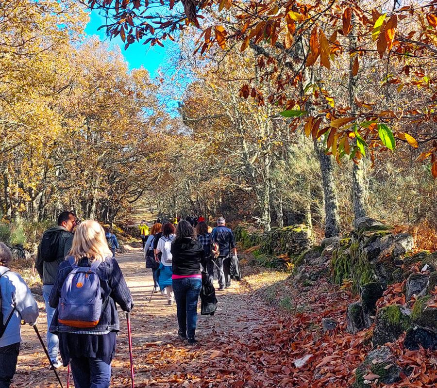 'Outono mágico na Sierra de Francia - 25 e 26 de Outubro de 2025