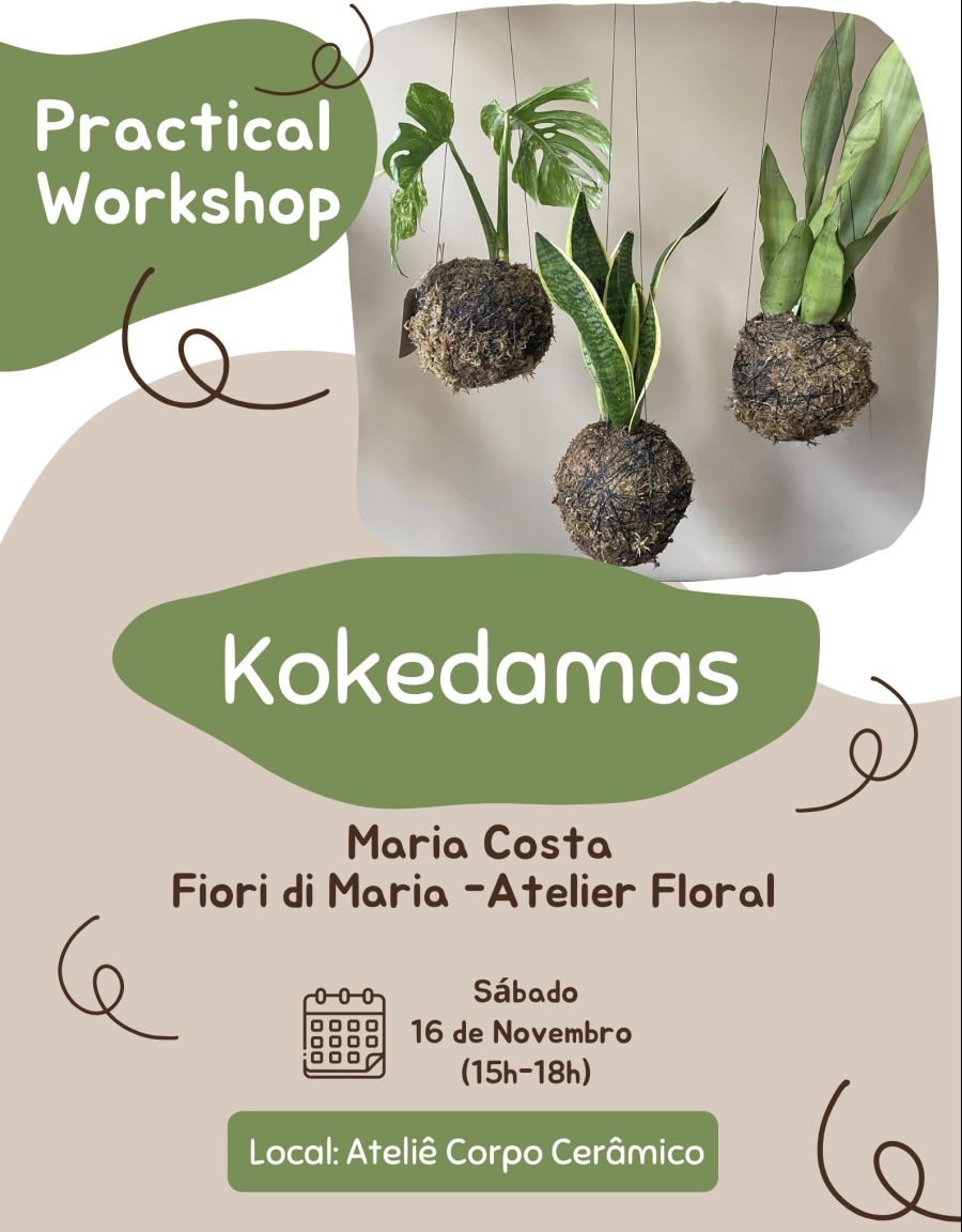 Practical Workshop Kokedamas