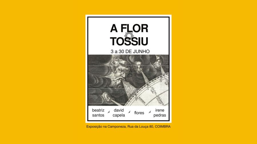 A Flor Tossiu - Exposição Coletiva