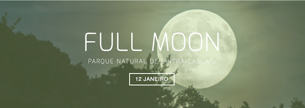 Terapia da Floresta Experience - Full Moon  Parque Natural Sintra Cascais