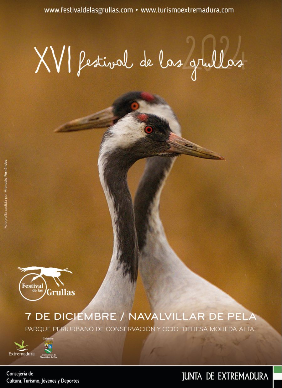 Festival de las Grullas 2024