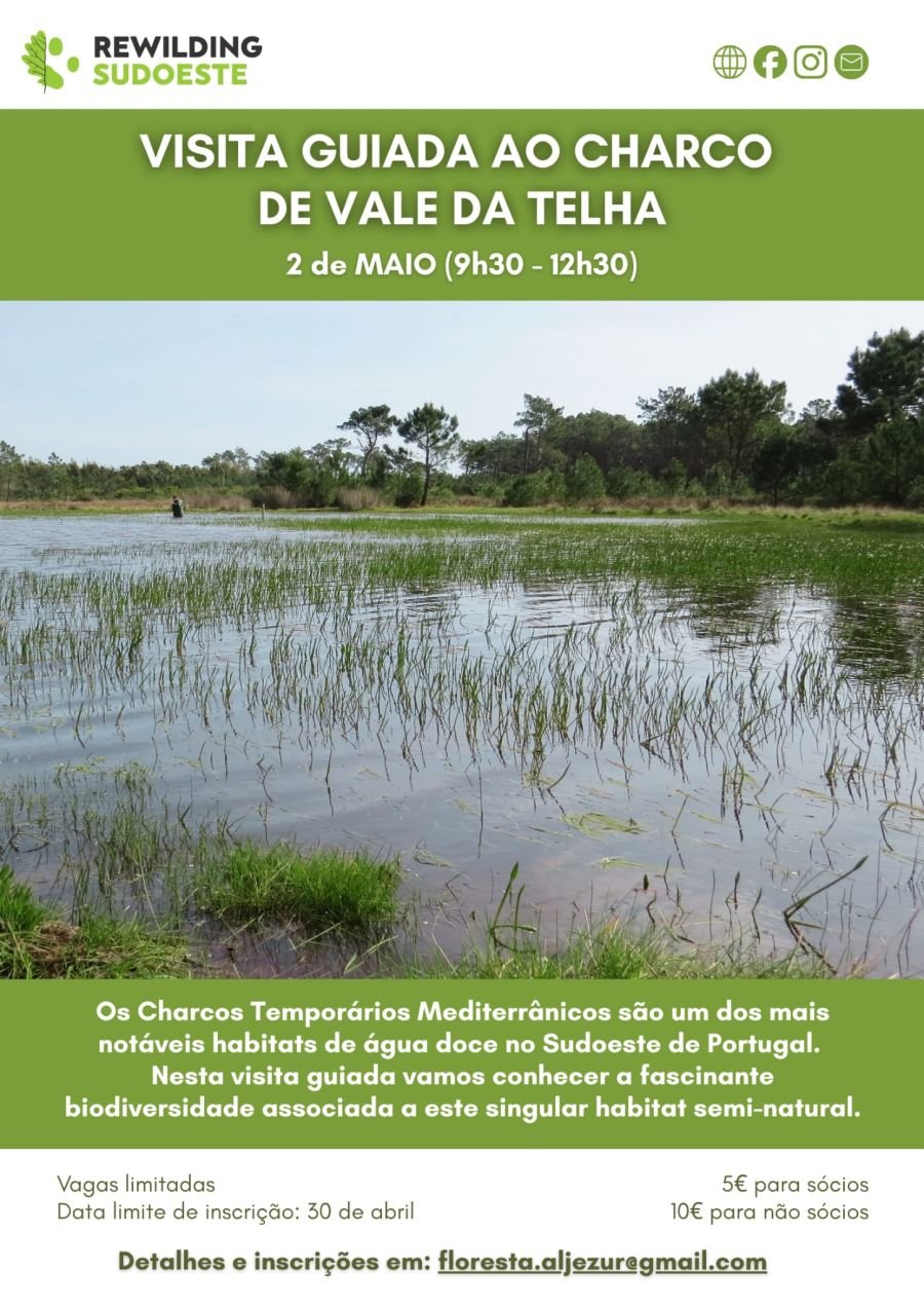 Visita guiada ao Charco Temporário de Vale da Telha, Aljezur 