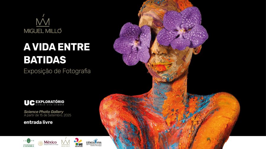 A Vida entre Batidas - exposição de fotografia 