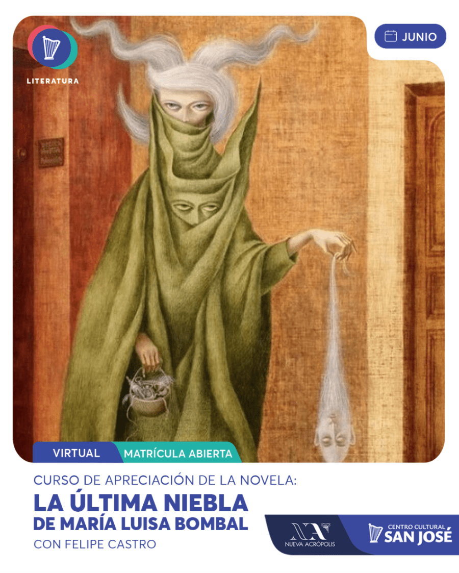 Apreciación de la novela La Última Niebla