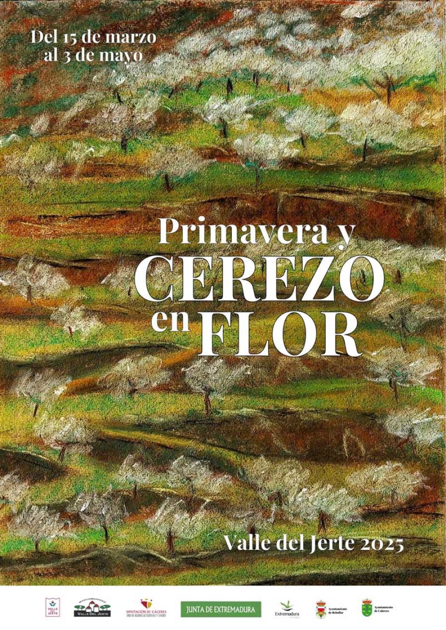 Cerezo en Flor 2025