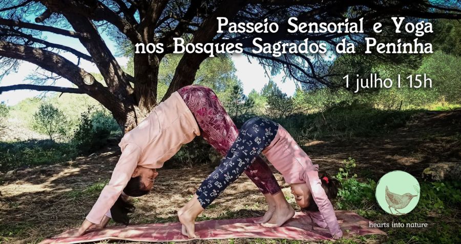 Passeio Sensorial e Yoga nos Bosques Sagrados da Peninha