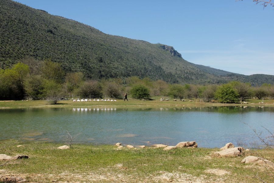 Caminhada e Yoga na Mata de Minde