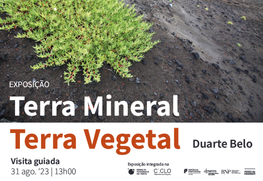 VISITA GUIADA  à Exposição Terra Mineral - Terra Vegetal. Fotografias de Duarte Belo