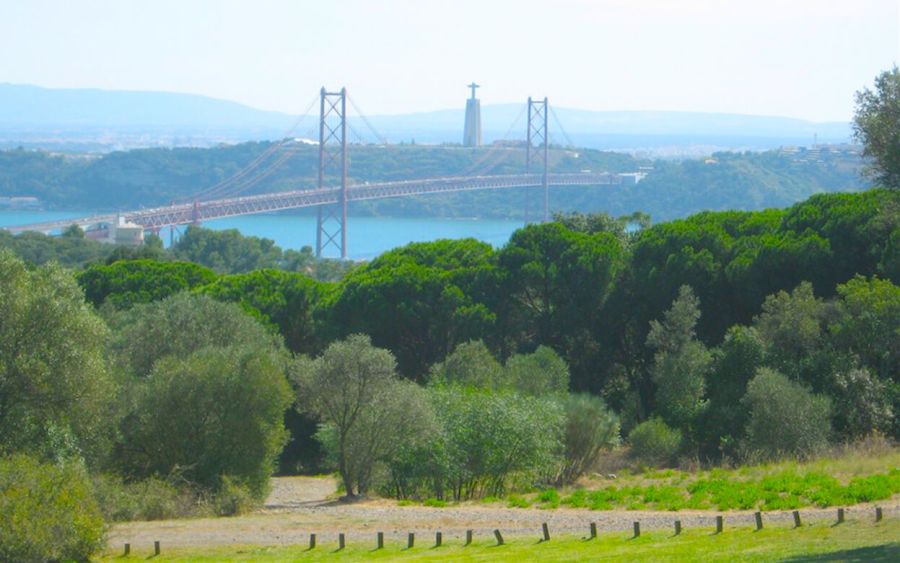 O Caminho da Água – Serra de Monsanto - 19 de Janeiro de 2025