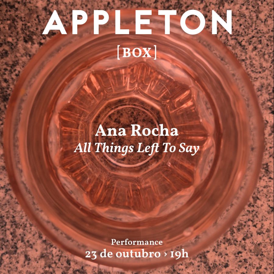 Ana Rocha: All Things Left to Say 