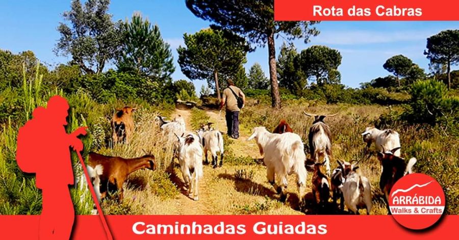 Caminhada . Rota das Cabras 