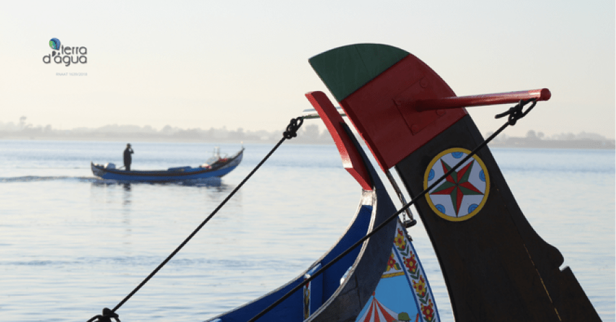 Passeio de Barco Moliceiro a Norte da Laguna