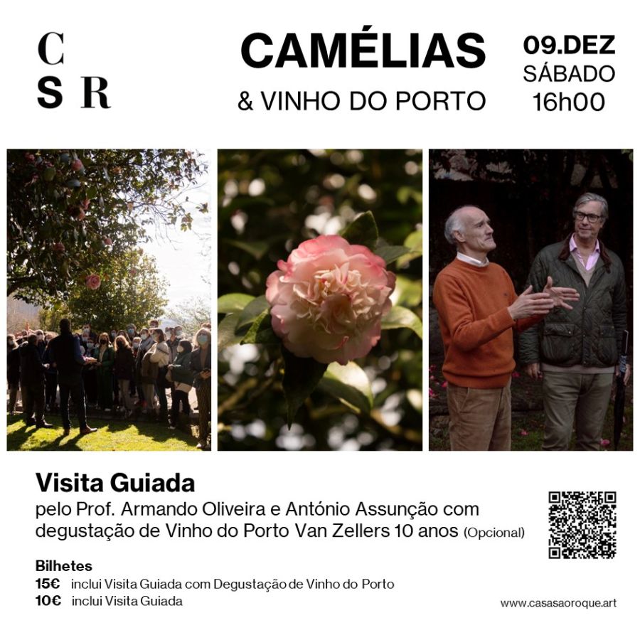 Camélias & Vinho do Porto