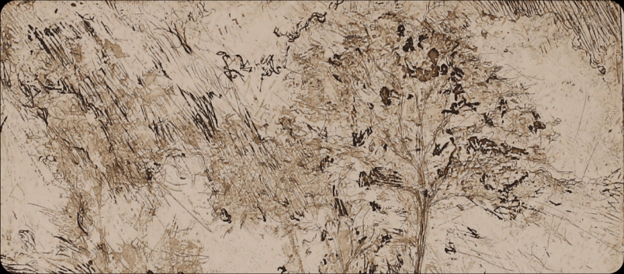 'Encontros com a Ilha' de Luís Brilhante