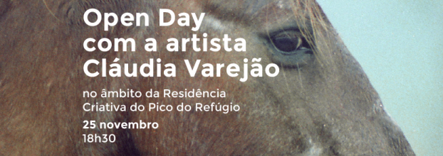 Open Day com a artista Cláudia Varejão