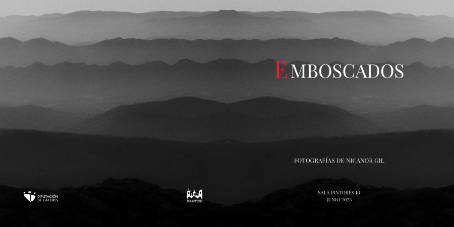 EXPOSICIÓN | “Emboscados” (Nicanor Gil González y Juan Ramón Santos 