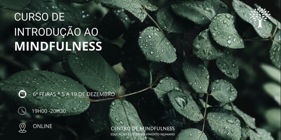 Curso de Introdução ao Mindfulness