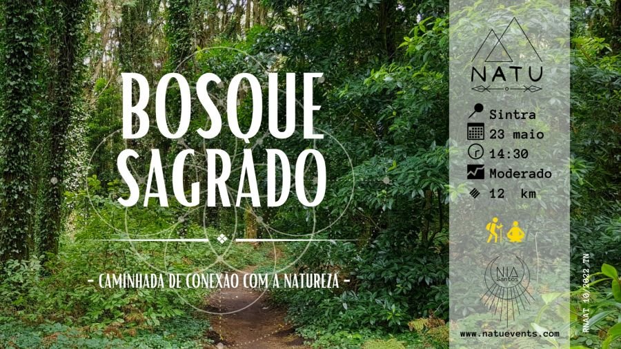 BOSQUE SAGRADO | Caminhada de Conexão com a Natureza