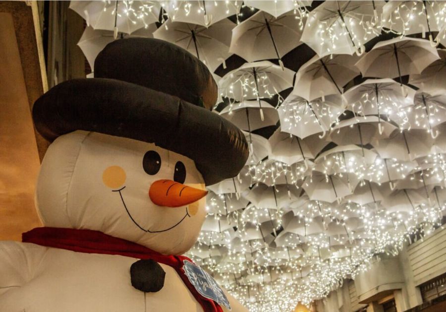 Luzes de Natal em Águeda e Mata do Buçaco