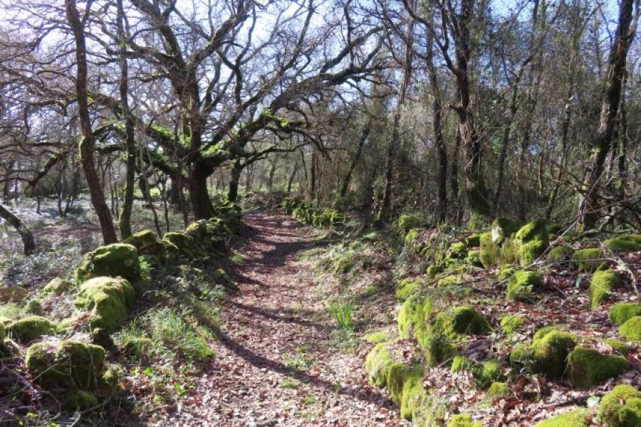 Pelos Trilhos das Aldeias de Alvaiázere
