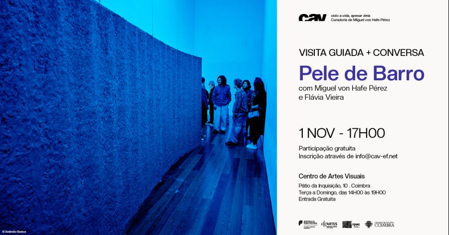 Visita Guiada + Conversa pela exposição 'Pele de barro' de Flávia Vieira 