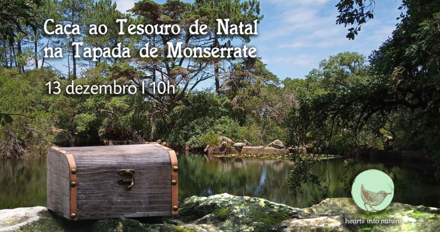 Caça ao Tesouro de Natal na Tapada de Monserrate