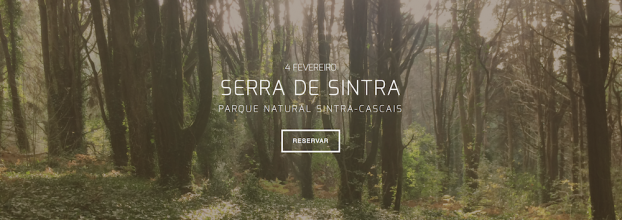 Terapia da Floresta Experience - Serra de Sintra