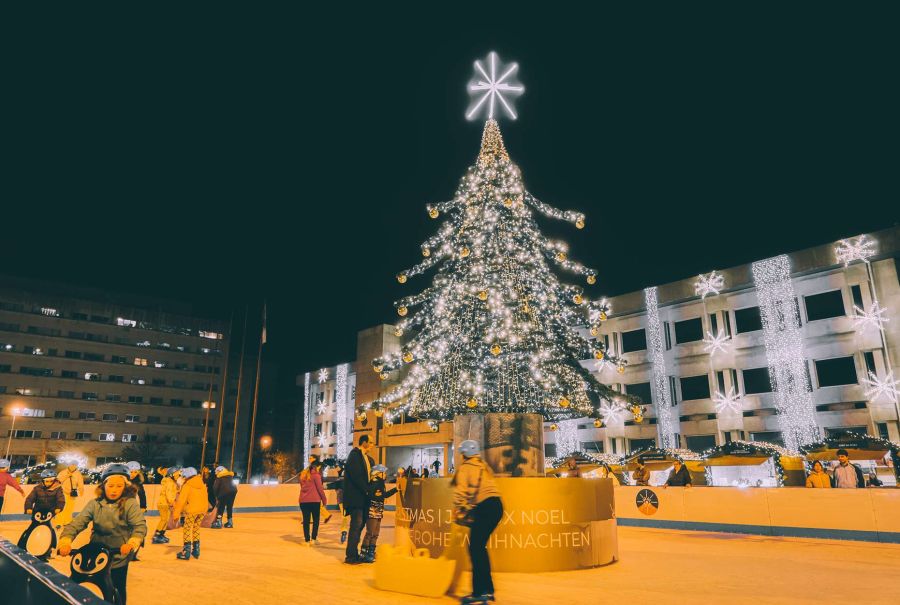 Maia Natal 2025 - Pista de Gelo, Carrossel e Mini Roda