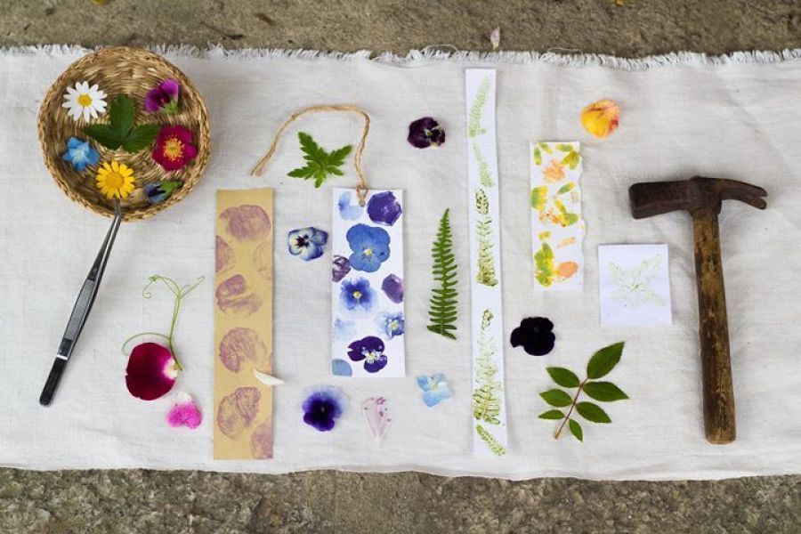 Introdução à Impressão botânica em tecido