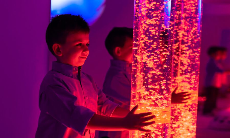 A abordagem Snoezelen: Da Teoria à Prática - 2ª Edição