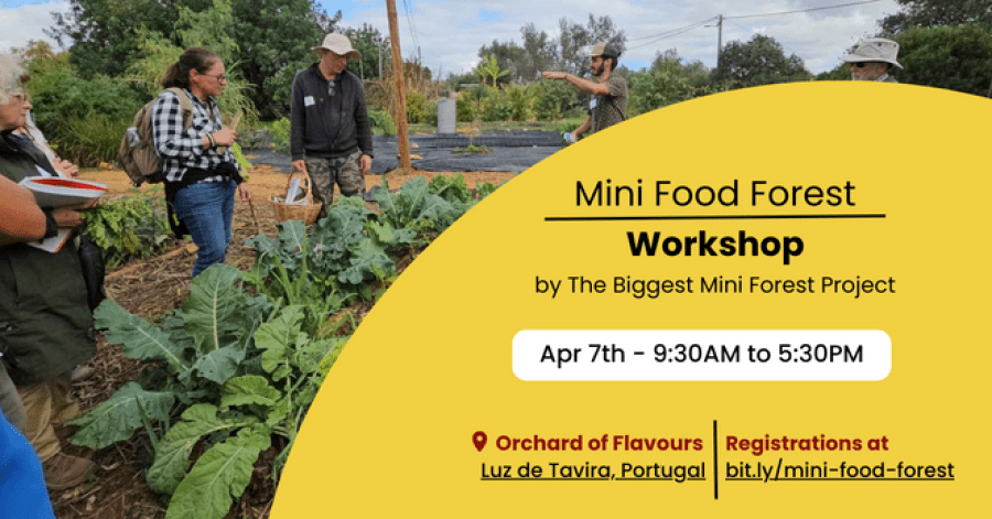 Mini Food Forest workshop