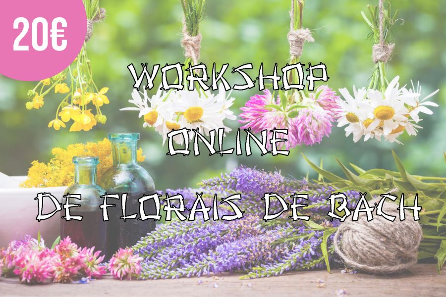 Workshop Online de Florais de Bach