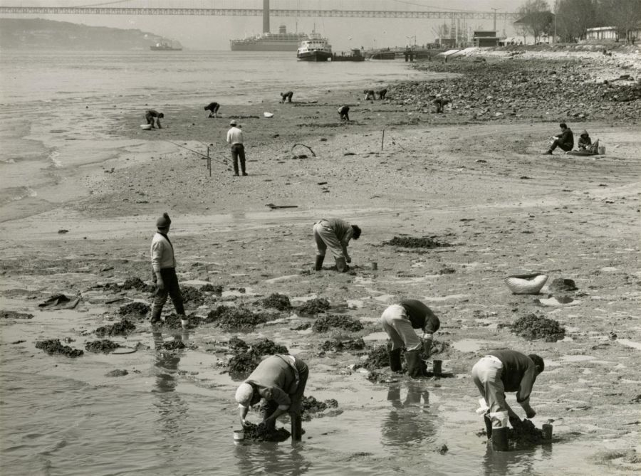 Crónicas de uma Lisboa desconhecida 