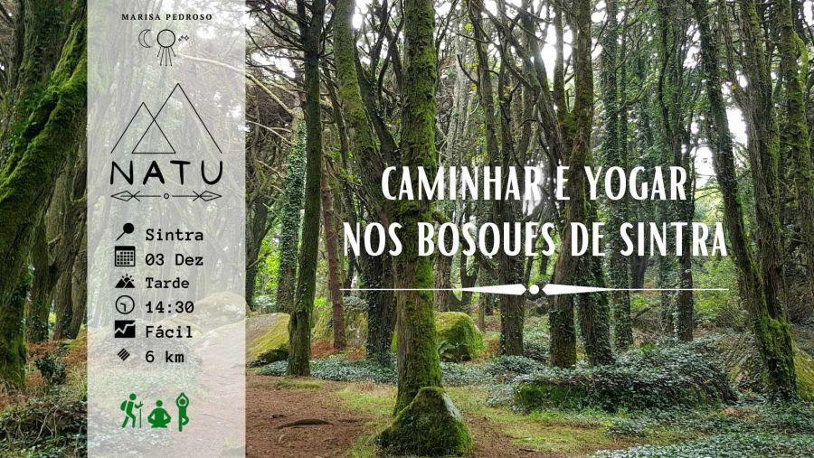 Caminhar e Yogar nos Bosques de Sintra