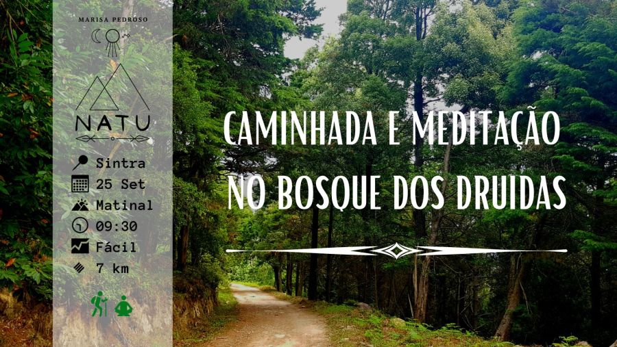 Caminhada e Meditação no Bosque dos Druidas | Sintra
