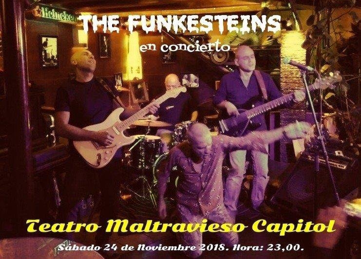 The Funkesteins en CONCIERTO 'dancing por los suelos' all night long.