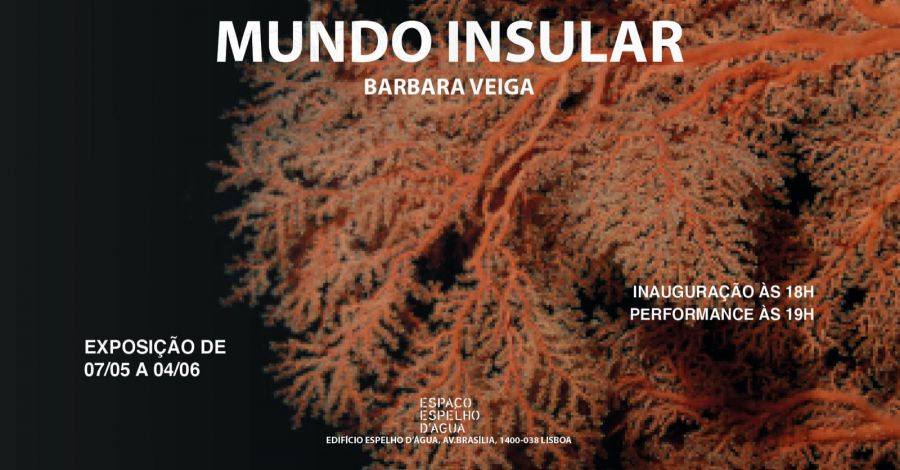 Exposição 'Mundo Insular' - Barbara Veiga