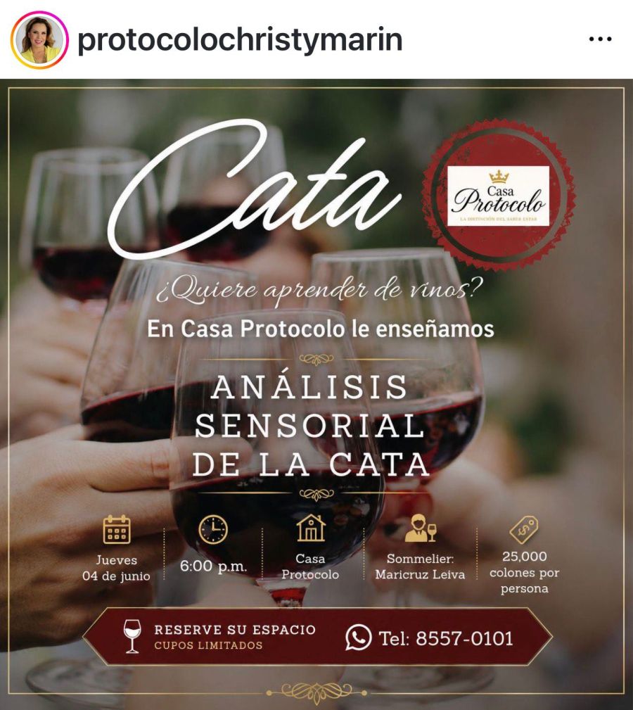 Introducción al mundo del vino