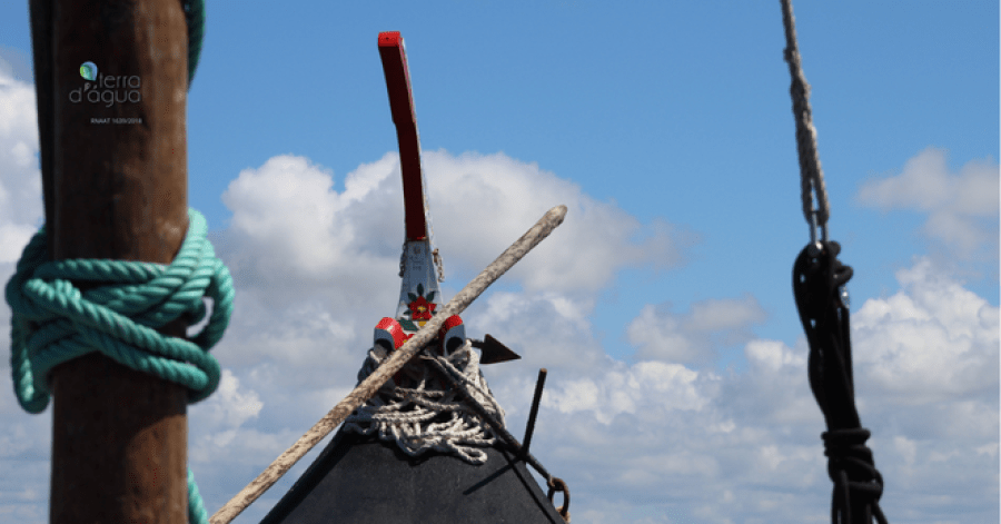 Passeio de Barco Moliceiro em pleno coração da Ria de Aveiro