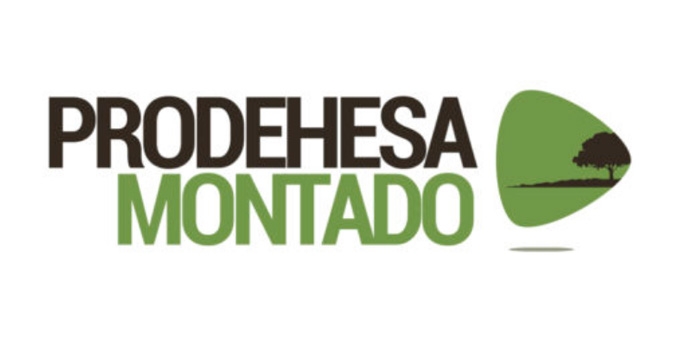  Jornada intermedia del Proyecto PRODEHESA-MONTADO. 26 de noviembre de 2019. Badajoz