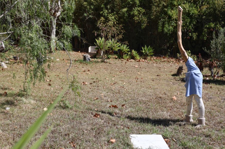 Susanne S. D. Themlitz 'História Natural'