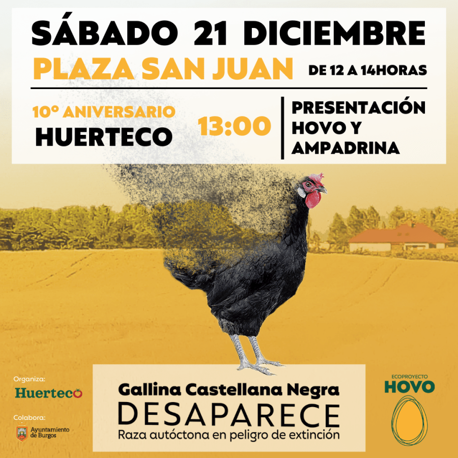 Presentación del ecoproyecto HOVO y campaña AMPAdrina - Recuperación de la Gallina Castellana Negra - 