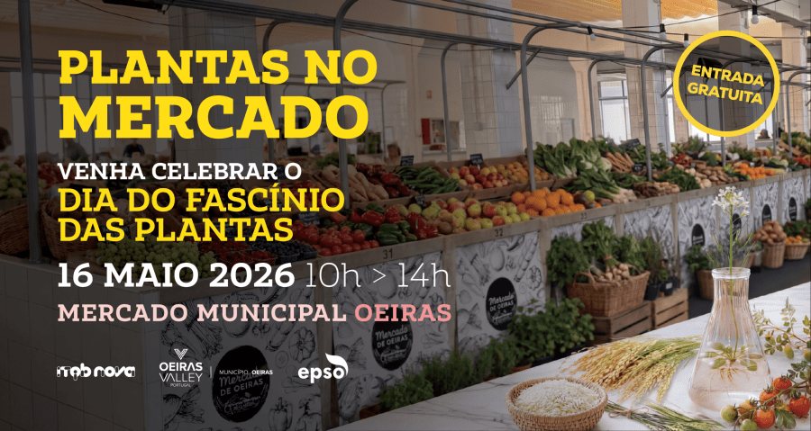Plantas no Mercado - Dia do Fascínio das Plantas 2026