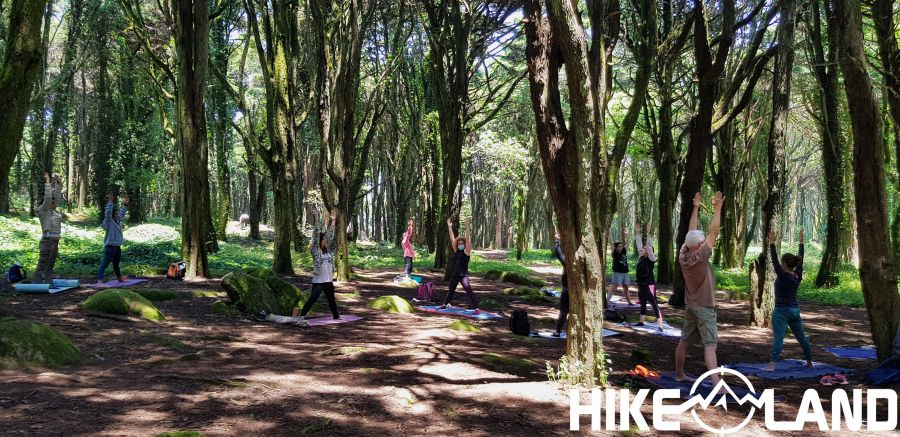 Caminhada e Yoga no Bosque do Silêncio