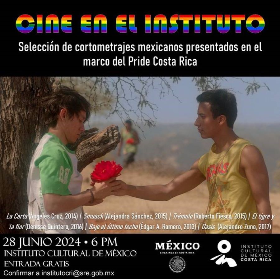 Cine en el Instituto. Cortometrajes en el marco del Pride